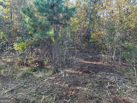 Lot 36 Crestview Lane Jackson, GA 30233 - Photo 5 of 9 Back of the lot. Cleared trail.