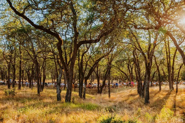 a view of a lake with a yard