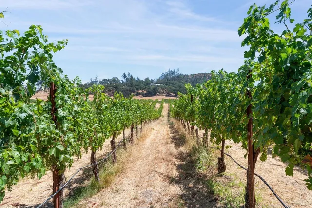 $44,000,000 | 13414 Chalk Hill Road, Healdsburg, CA 95448