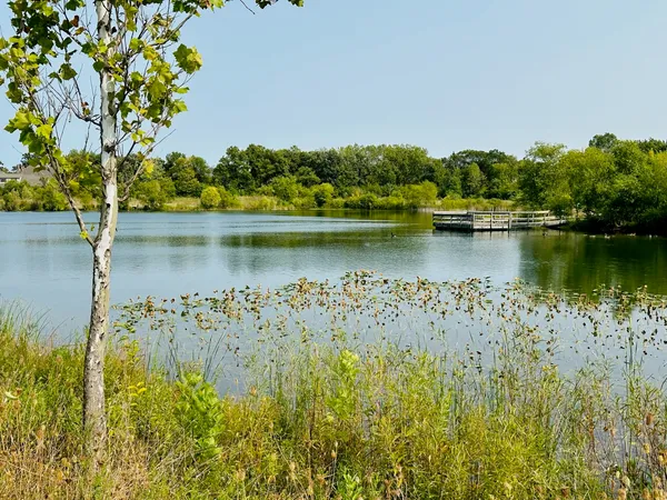 $949,900 | 401 South Wood Dale Road, Wood Dale, IL 60191