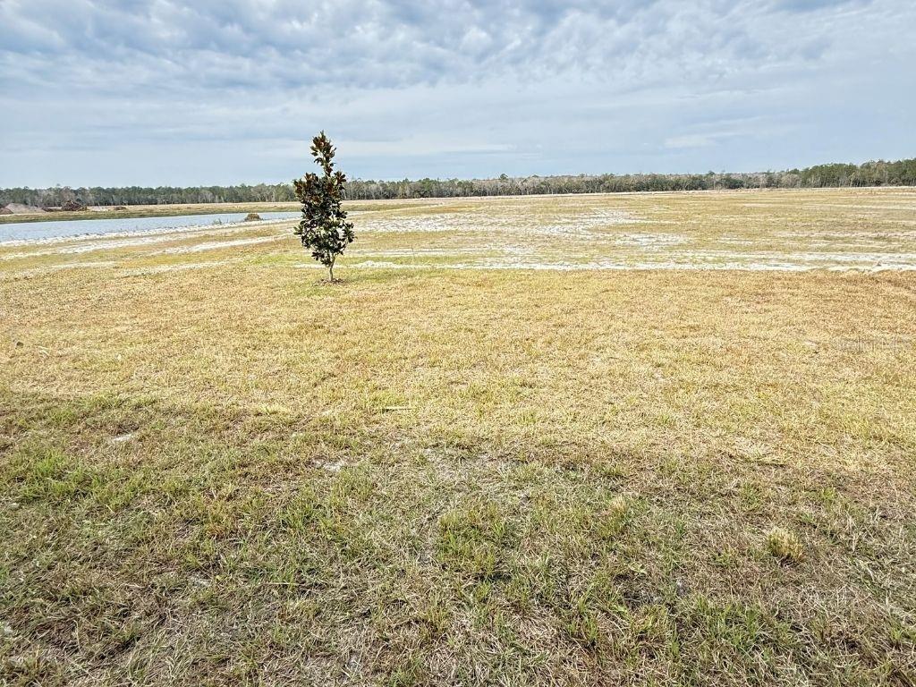 4505 Ochos Rios Place Kissimmee, FL 34758 - Photo 43 of 43