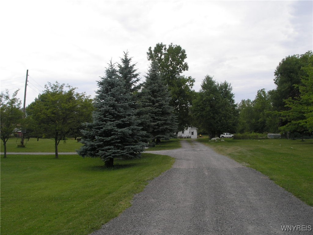 French Road Cheektowaga, NY 14227 - Photo 2 of 3 Entrance to french Rd