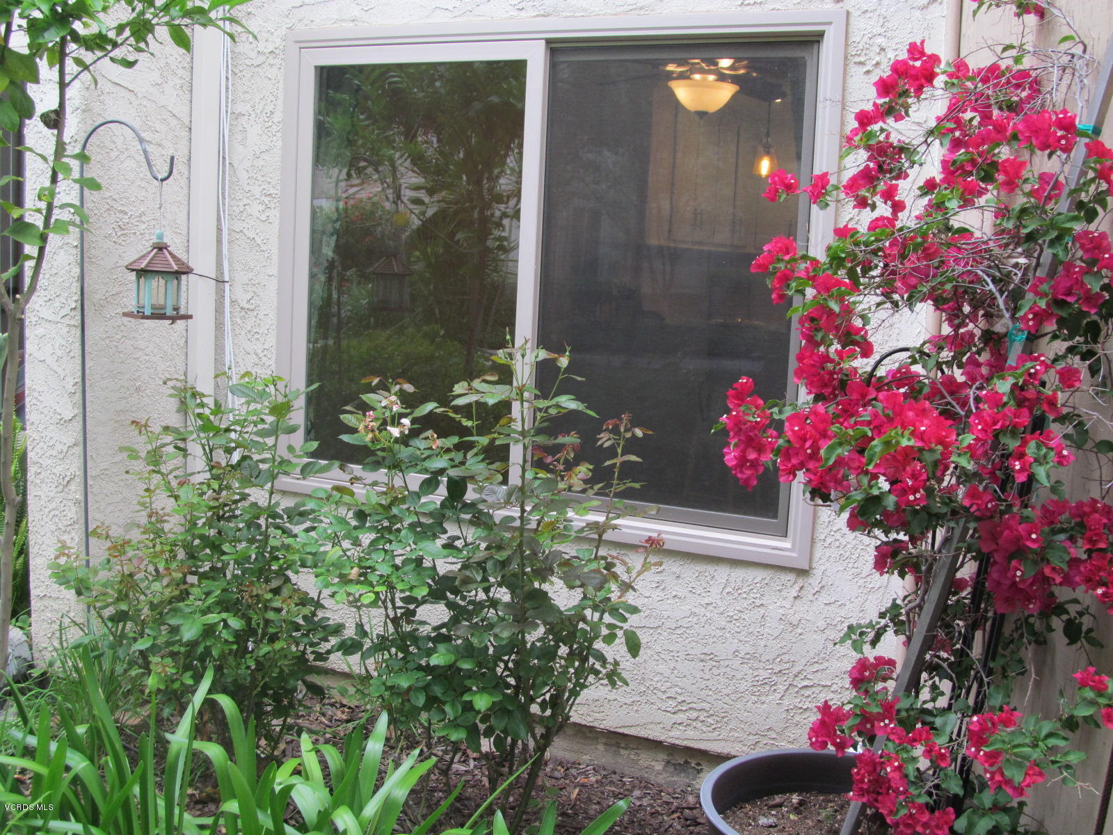 1706 Sinaloa Road, Unit 112 Simi Valley, CA 93065 - Photo 27 of 37 a flower plants sitting in front of a house