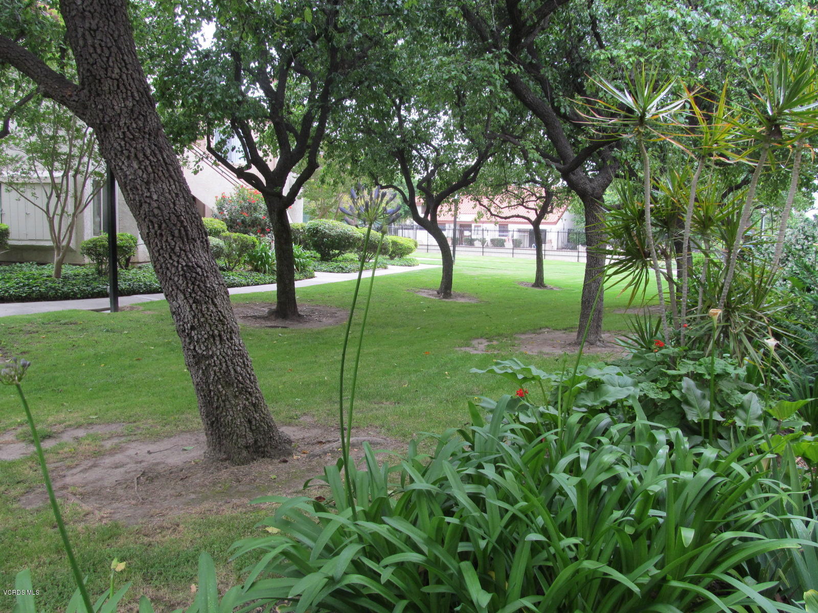 1706 Sinaloa Road, Unit 112 Simi Valley, CA 93065 - Photo 28 of 37 a view of backyard with large trees