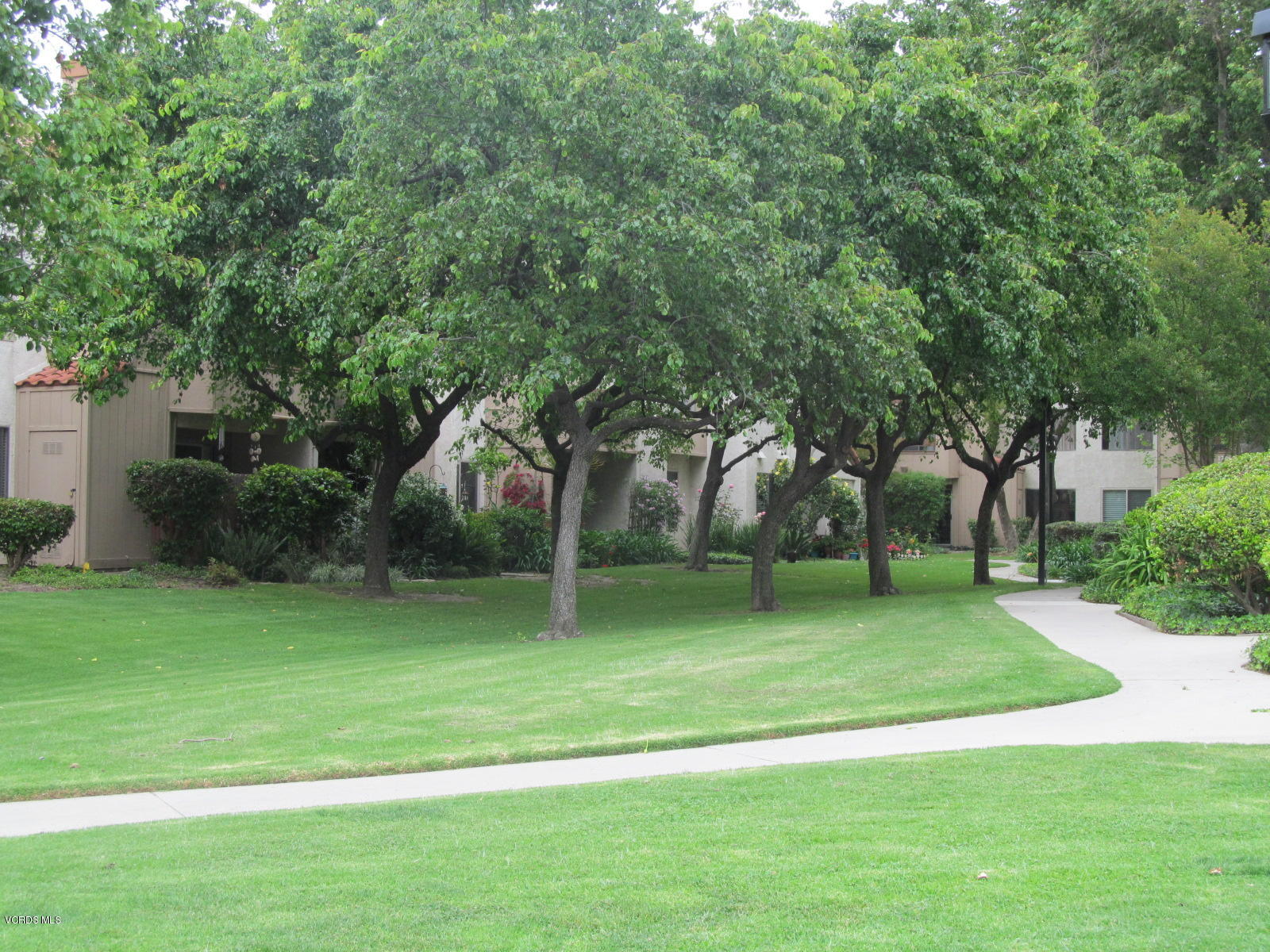 1706 Sinaloa Road, Unit 112 Simi Valley, CA 93065 - Photo 30 of 37 a view of a park with large trees