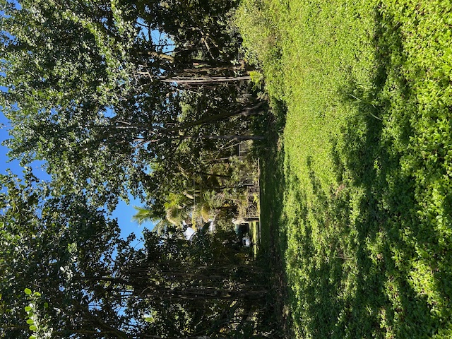 211 Kiawe Road Keaau, HI 96749 - Photo 3 of 7 Gallery Image 3