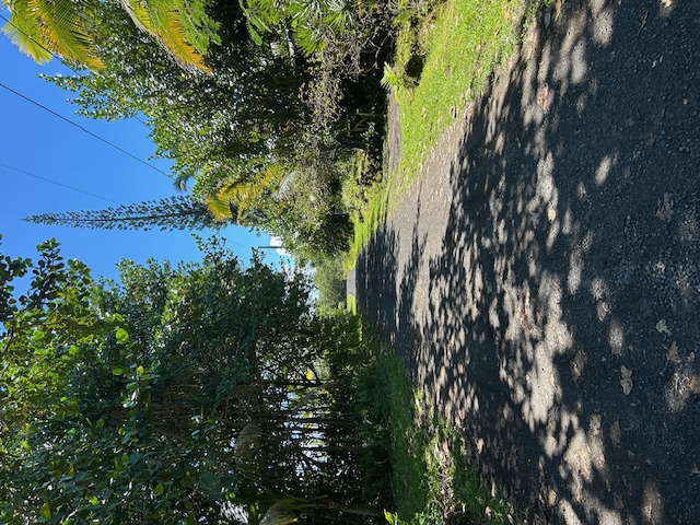211 Kiawe Road Keaau, HI 96749 - Photo 5 of 7 Gallery Image 5