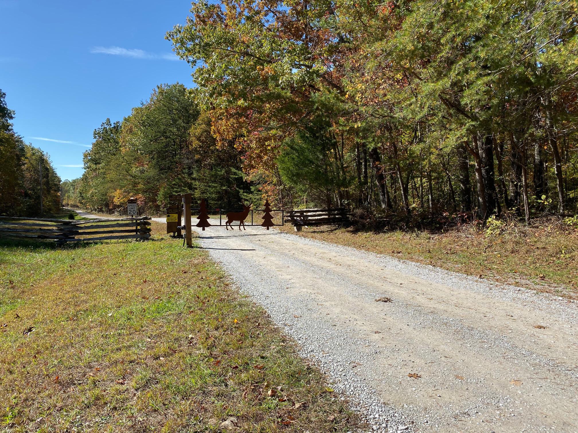 27.1 Bluff Ridge Road Altamont, TN 37301 - Photo 8 of 8 IMG_0564