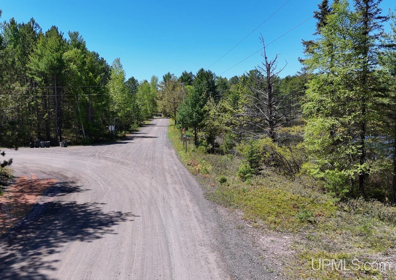 Tbd303 Little Rice Lk Road Lake Linden, MI 49945 - Photo 6 of 22