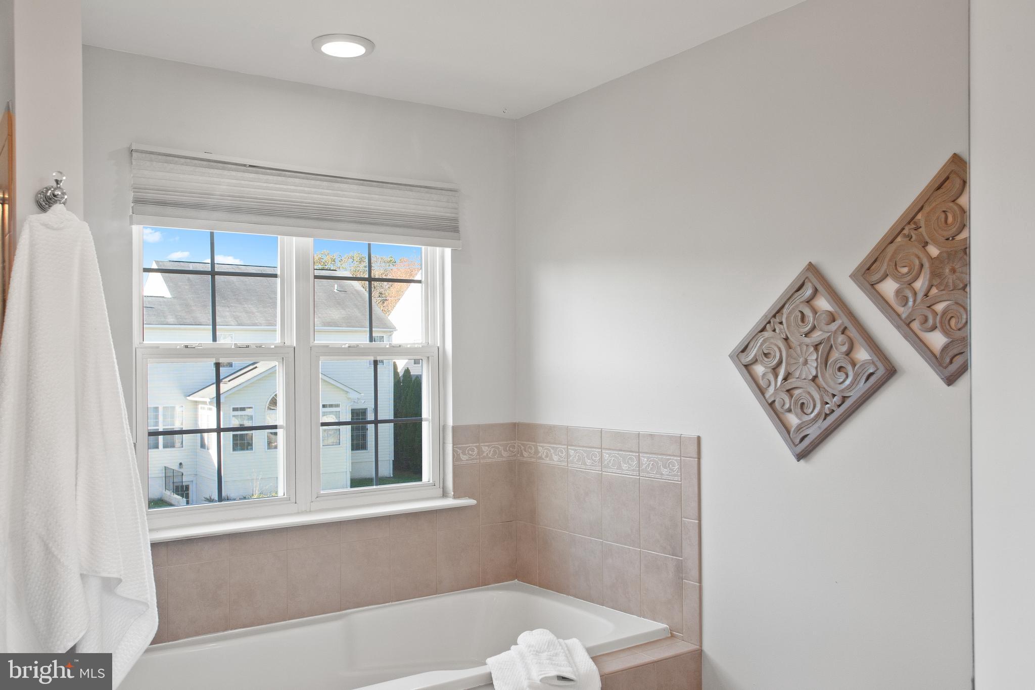 204 Coleman Drive Easton, MD 21601 - Photo 34 of 43 Large Soaking Tub