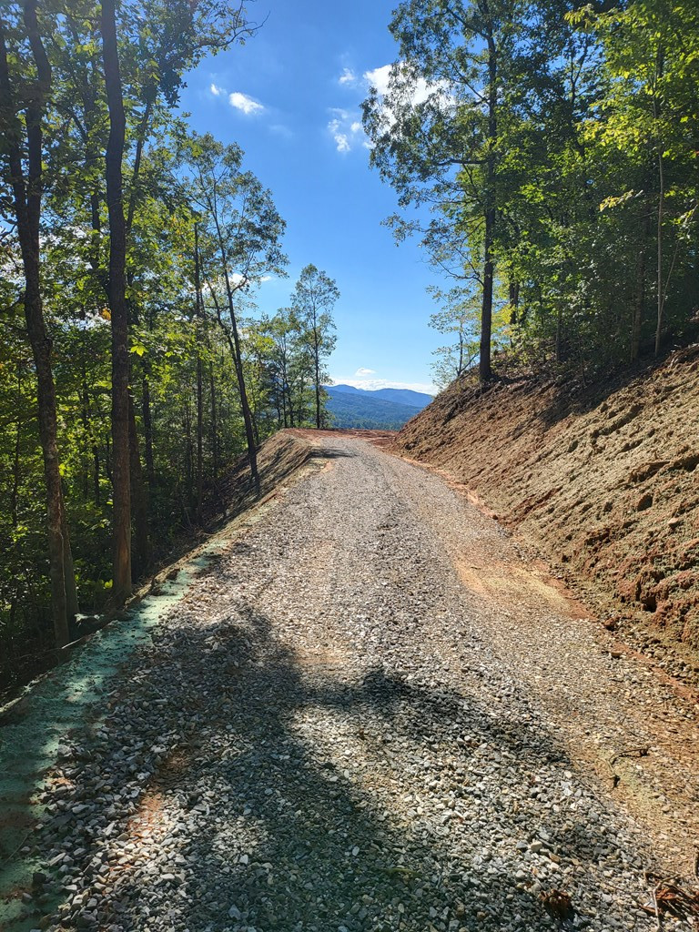 85-3 Eagles Flight Road Bryson City, NC 28713 - Photo 2 of 17
