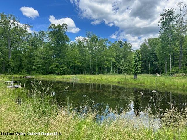 725 Highway 32 Tillson, NY 12486 - Photo 6 of 26 a view of a lake with a yard