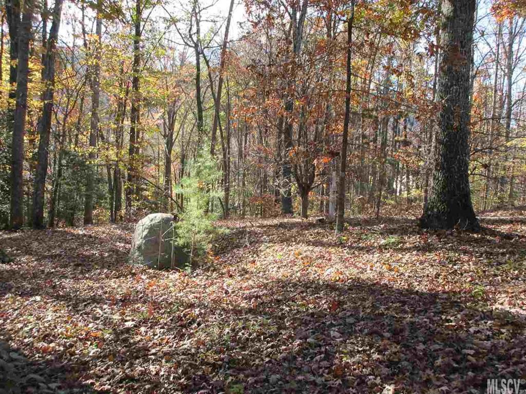 3895 Zero Mull Road Morganton, NC 28655 - Photo 8 of 19 Gallery Image 8