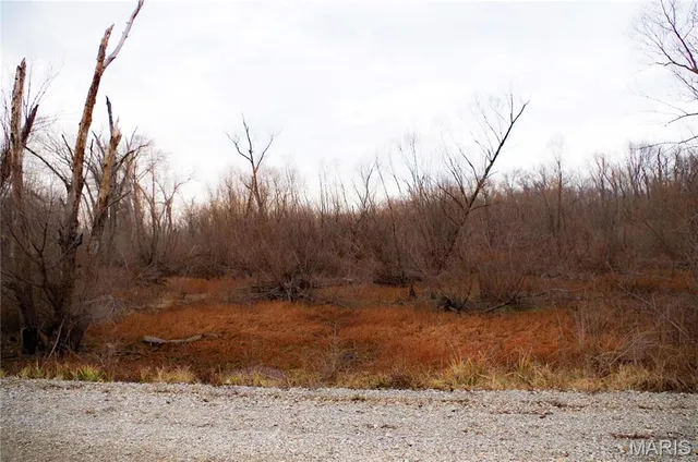 $30,000 | 0 Pike 202, Annada, MO 63330