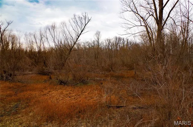 $30,000 | 0 Pike 202, Annada, MO 63330