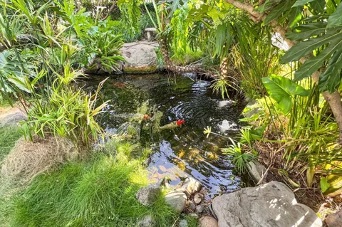 $648,000 | 1195 Yarwood Court, San Jose, CA 95128