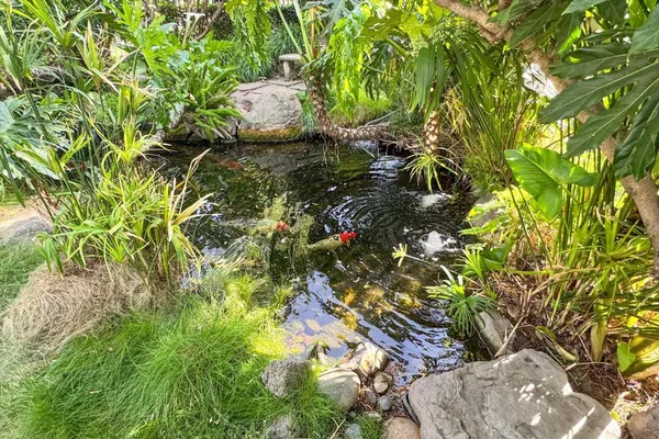 $648,000 | 1195 Yarwood Court, San Jose, CA 95128