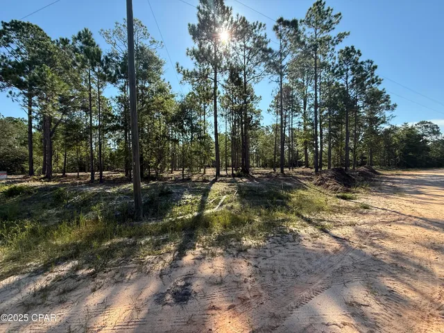 $25,600 | 0 Adams Drive, Alford, FL 32420