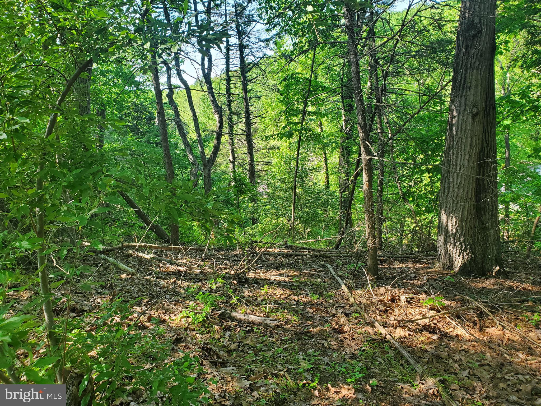 3997 Trout Run Road York, PA 17406 - Photo 40 of 43 Gallery Image 40