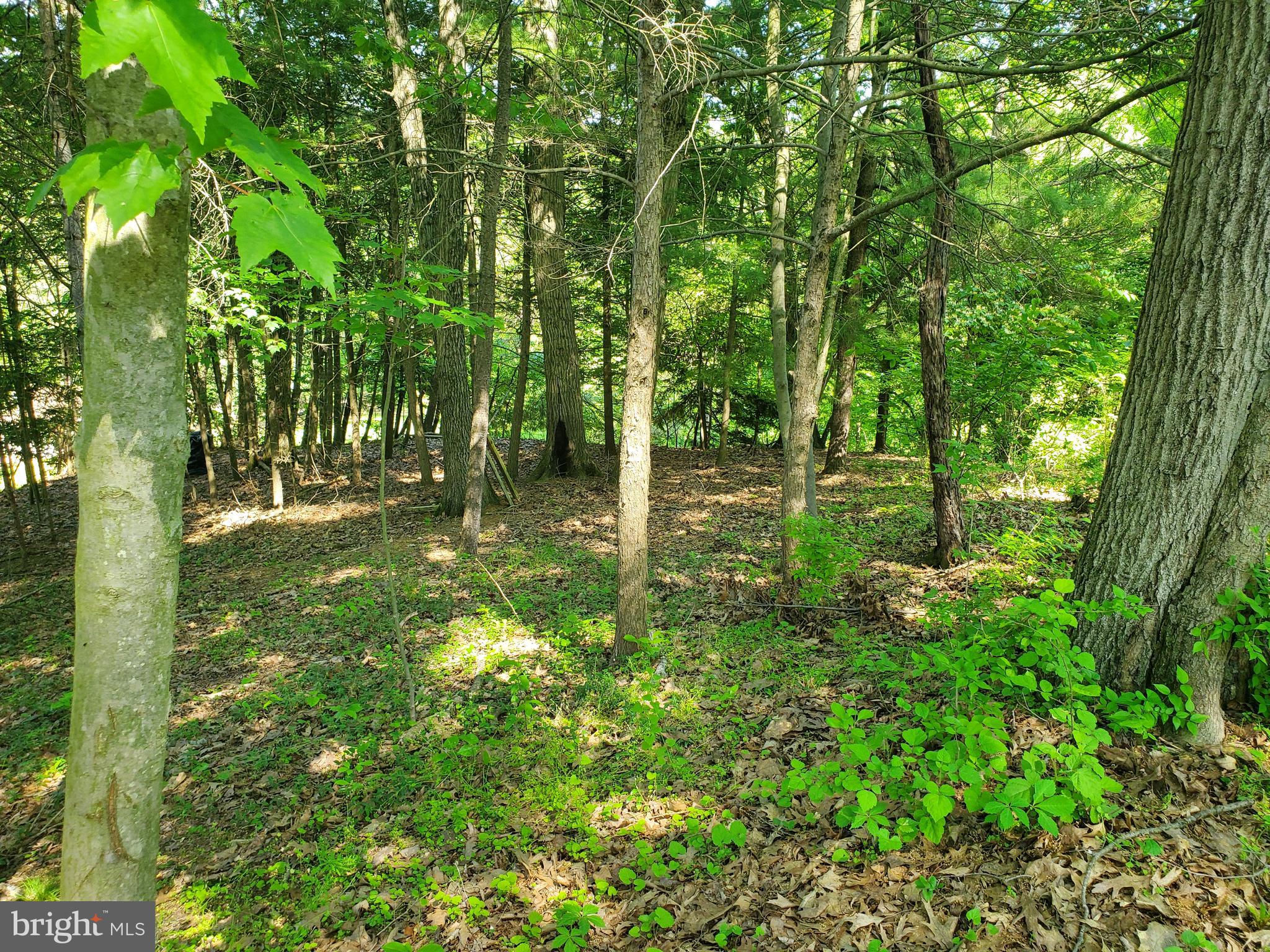 3997 Trout Run Road York, PA 17406 - Photo 42 of 43 Gallery Image 42