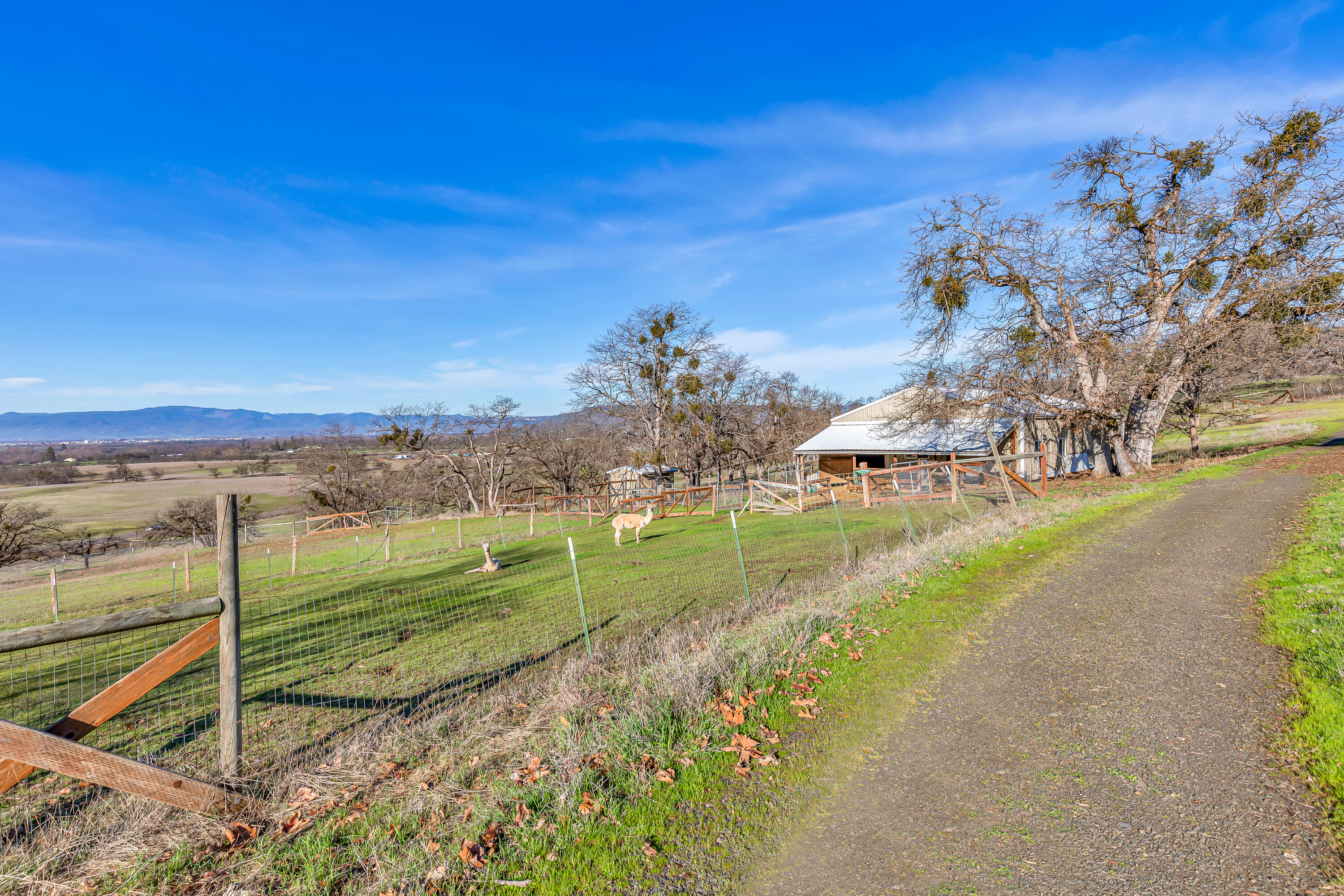 924 West Linn Road Eagle Point, OR 97524 - Photo 48 of 58 9R9A5271