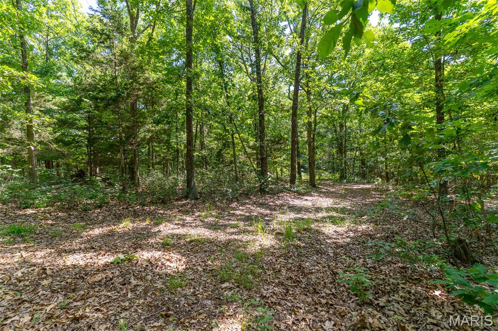 10450 Ok Road Bonne Terre, MO 63628 - Photo 78 of 93