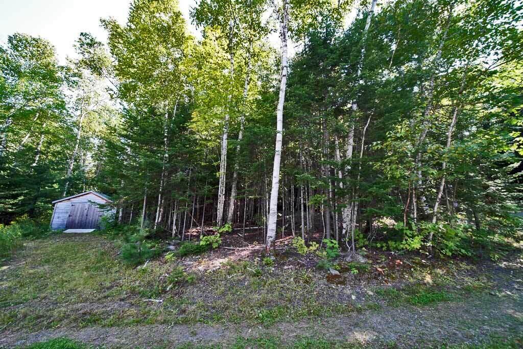 590 W Road Portage, ME 04768 - Photo 43 of 136 lake-property-wood-land