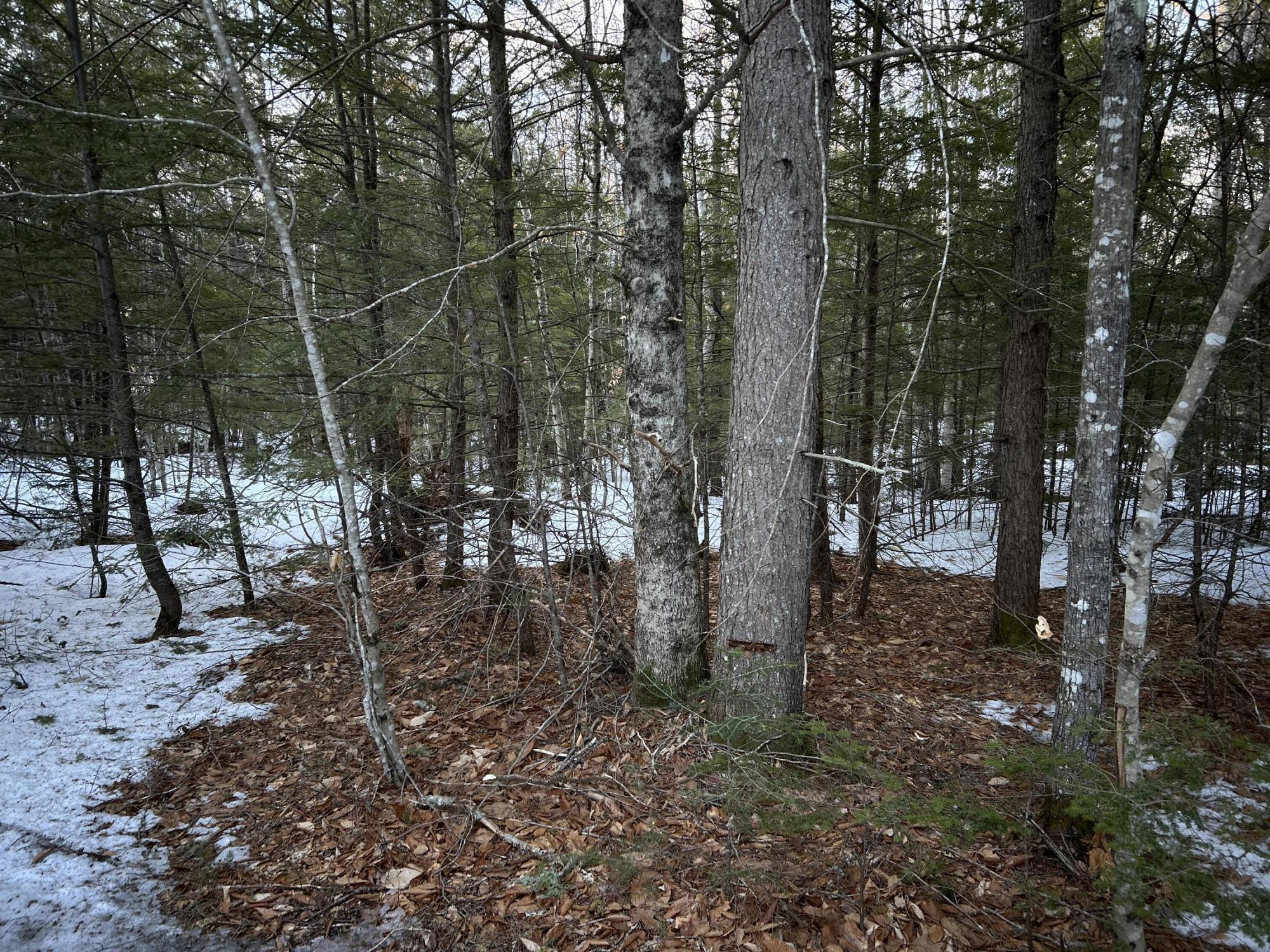 Map13-lot11 Field View Road Fryeburg, ME 04037 - Photo 35 of 37