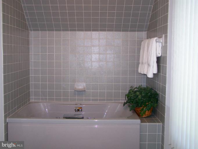 210 Thompson Road Chester, MD 21619 - Photo 21 of 30 Bath (Master)