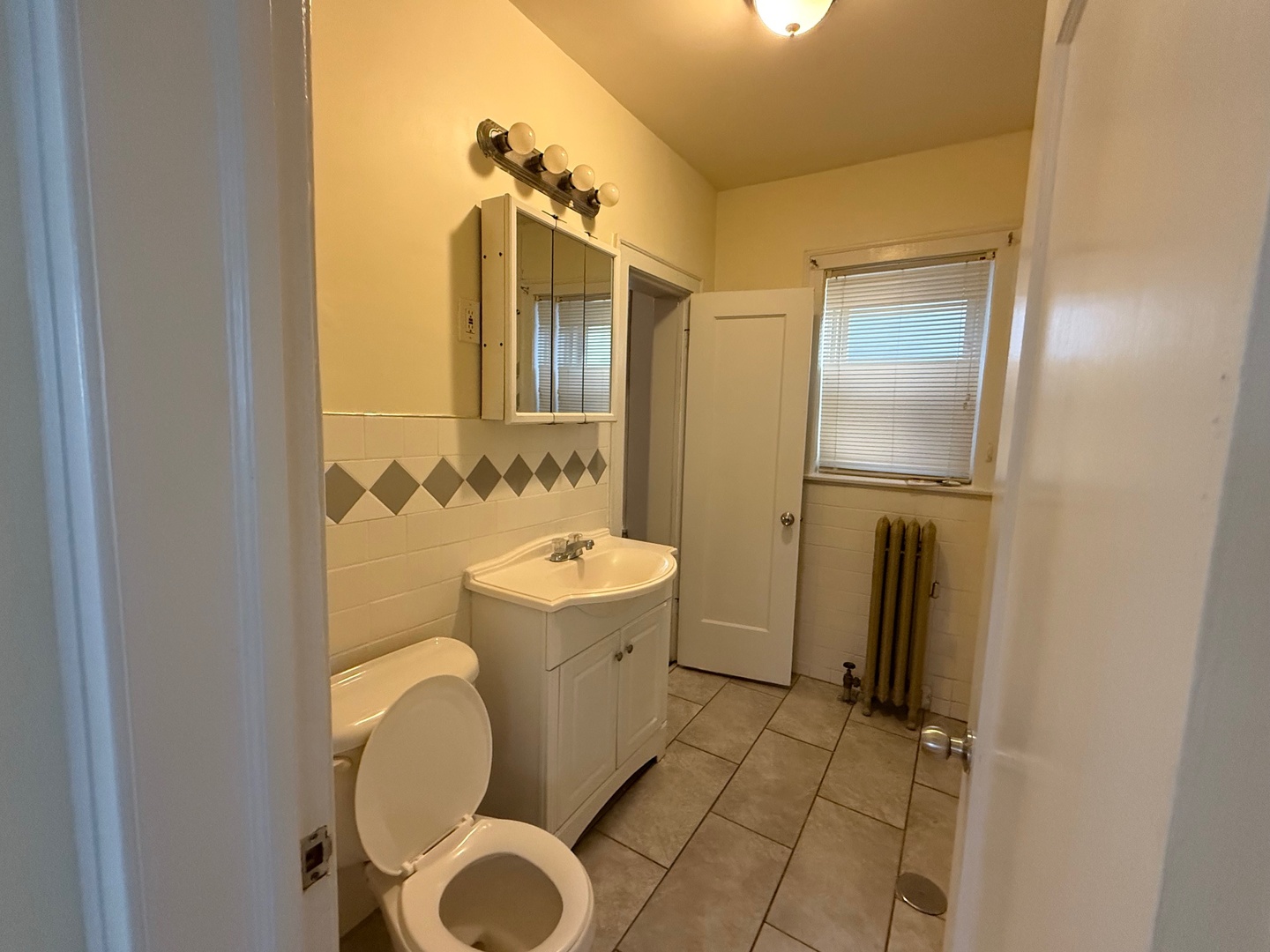 7749 South Indiana Avenue, Unit 1 Chicago, IL 60619 - Photo 12 of 13 a bathroom with a sink and a mirror