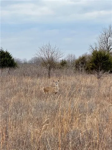 $215,000 | 0 Cr 1900 N/a Independence Ks 67301 N/a, Independence, KS 67301