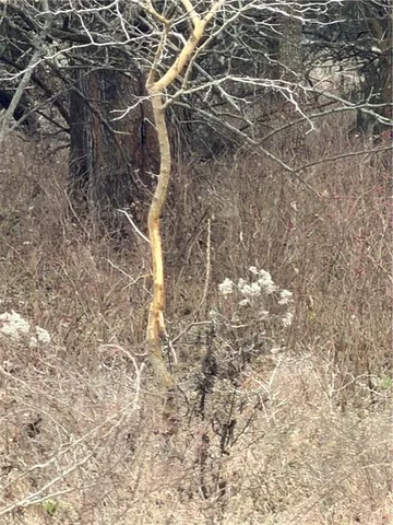 $215,000 | 0 Cr 1900 N/a Independence Ks 67301 N/a, Independence, KS 67301