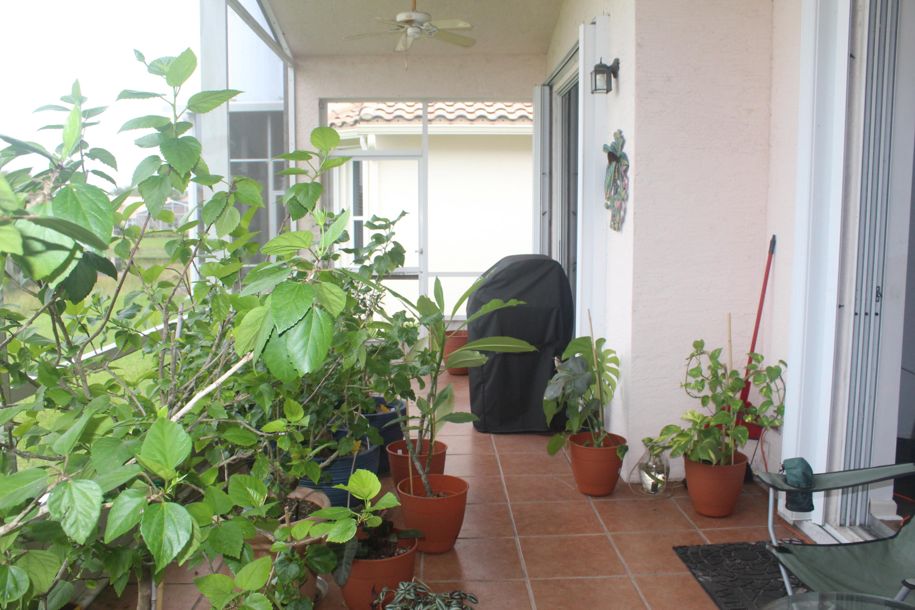 424 Springview Loop Port St. Lucie, FL 34986 - Photo 15 of 19 IMG_9755