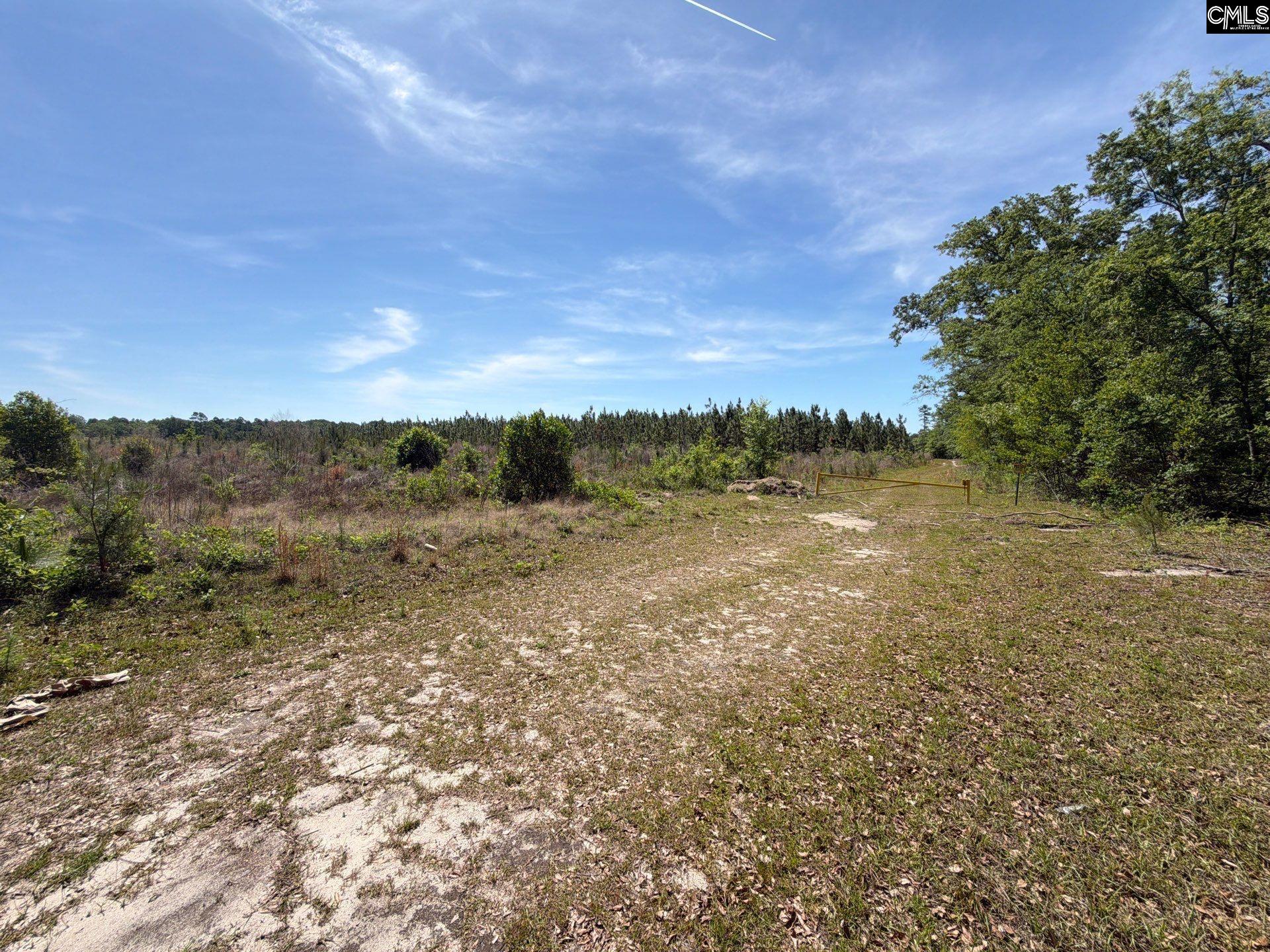 1 Holstein Road Monetta, SC 29105 - Photo 20 of 36