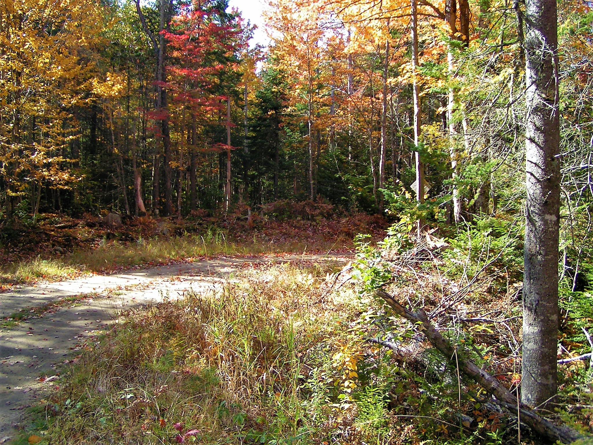 0 Buckfield Road South Paris, ME 04281 - Photo 6 of 11 PICT0037