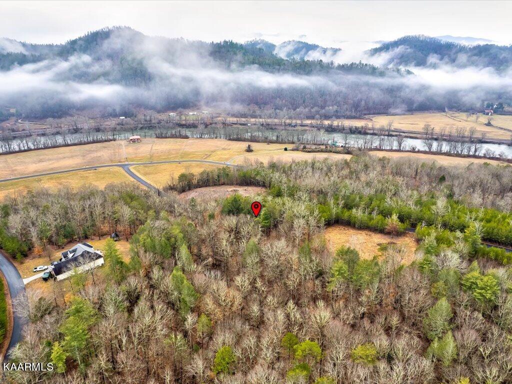 Lot 106 Huff Overlook Way Del Rio, TN 37727 - Photo 11 of 27 Lot 106 Huff Overlook - 11