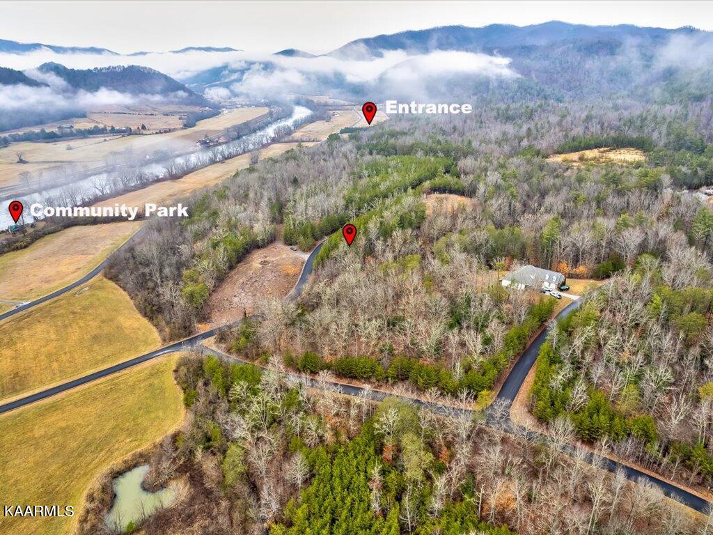 Lot 106 Huff Overlook Way Del Rio, TN 37727 - Photo 13 of 27 Lot 106 Huff Overlook - 13