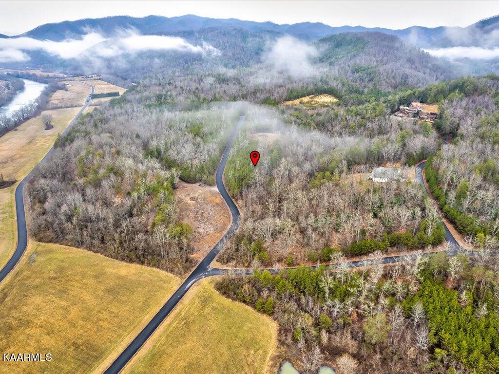 Lot 106 Huff Overlook Way Del Rio, TN 37727 - Photo 14 of 27 Lot 106 Huff Overlook - 14