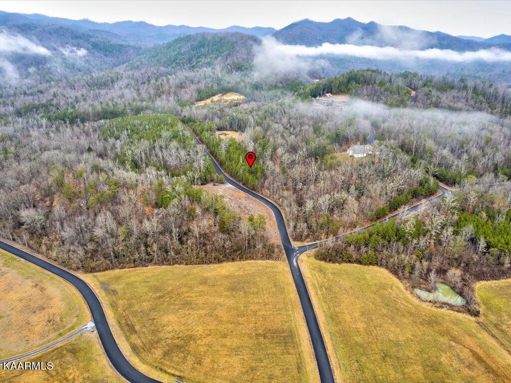 Lot 106 Huff Overlook Way Del Rio, TN 37727 - Photo 15 of 27 Lot 106 Huff Overlook - 15