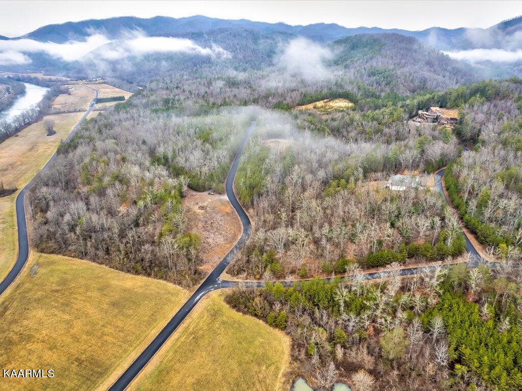 Lot 106 Huff Overlook Way Del Rio, TN 37727 - Photo 24 of 27 Lot 106 Huff Overlook - 25