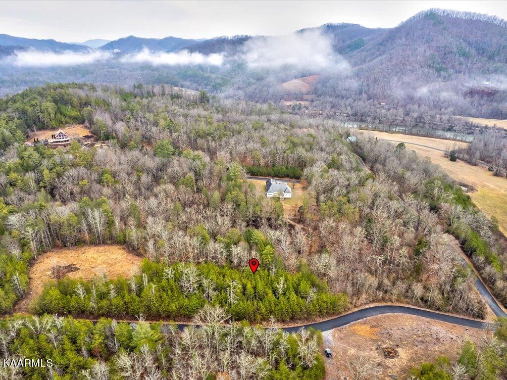 Lot 106 Huff Overlook Way Del Rio, TN 37727 - Photo 4 of 27 Lot 106 Huff Overlook - 4
