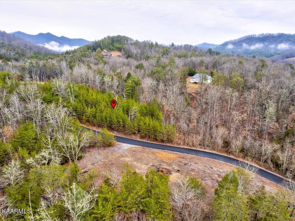 Lot 106 Huff Overlook Way Del Rio, TN 37727 - Photo 7 of 27 Lot 106 Huff Overlook - 7
