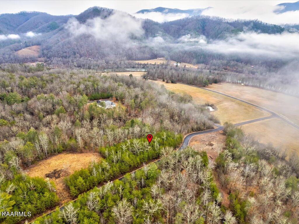 Lot 106 Huff Overlook Way Del Rio, TN 37727 - Photo 9 of 27 Lot 106 Huff Overlook - 9