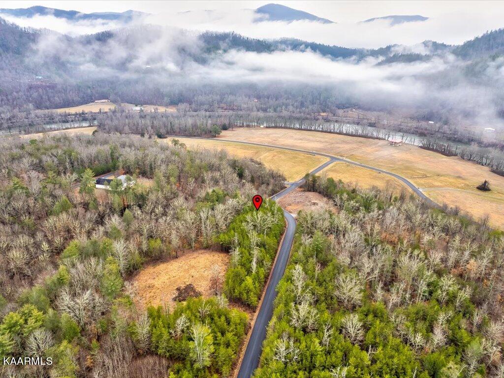 Lot 106 Huff Overlook Way Del Rio, TN 37727 - Photo 10 of 27 Lot 106 Huff Overlook - 10