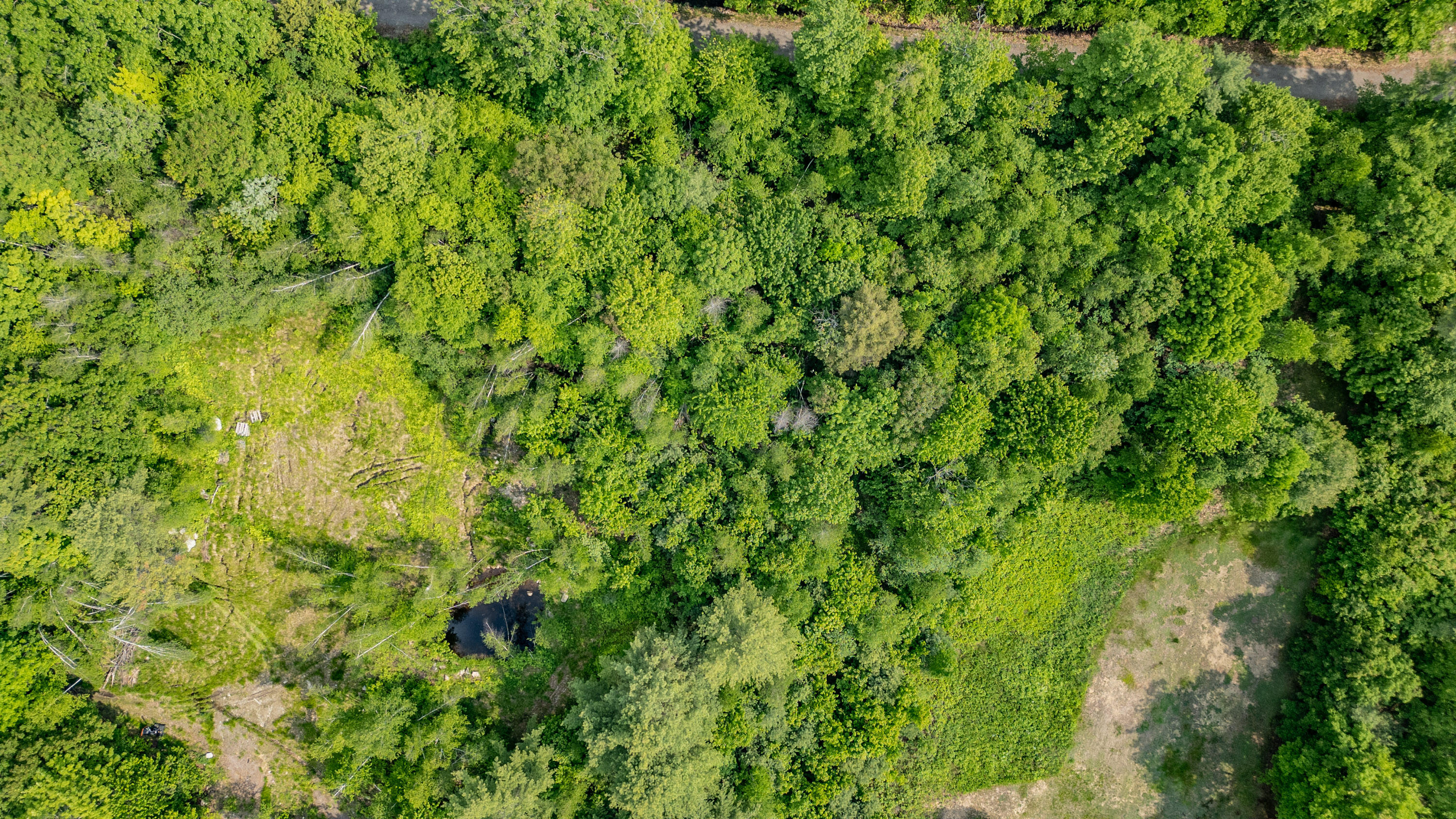 298 Main Street Oxford, ME 04270 - Photo 4 of 4 20250605gp-64229