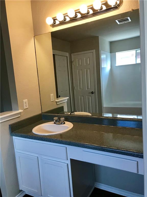1251 Pine Portage Loop Leander, TX 78641 - Photo 13 of 17 a bathroom with a sink and a mirror
