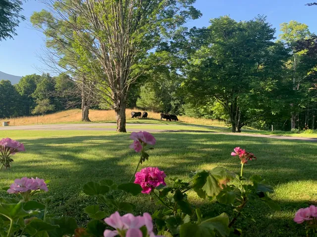 $3,650,000 | 166 Jewett Road, West Windsor, VT 05037