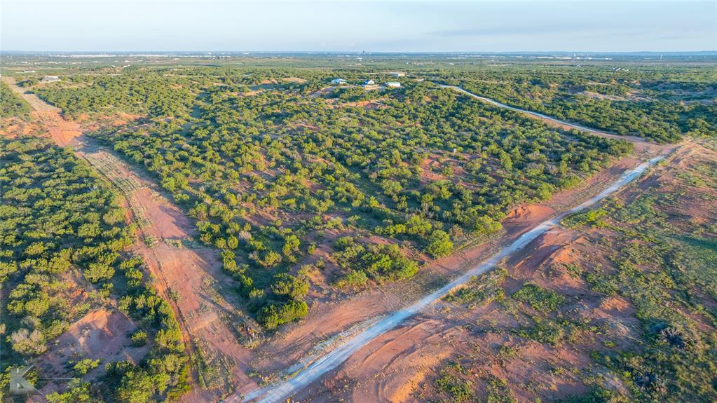 684 Taylor Ridge Estates Road Abilene, TX 79603 - Photo 38 of 39