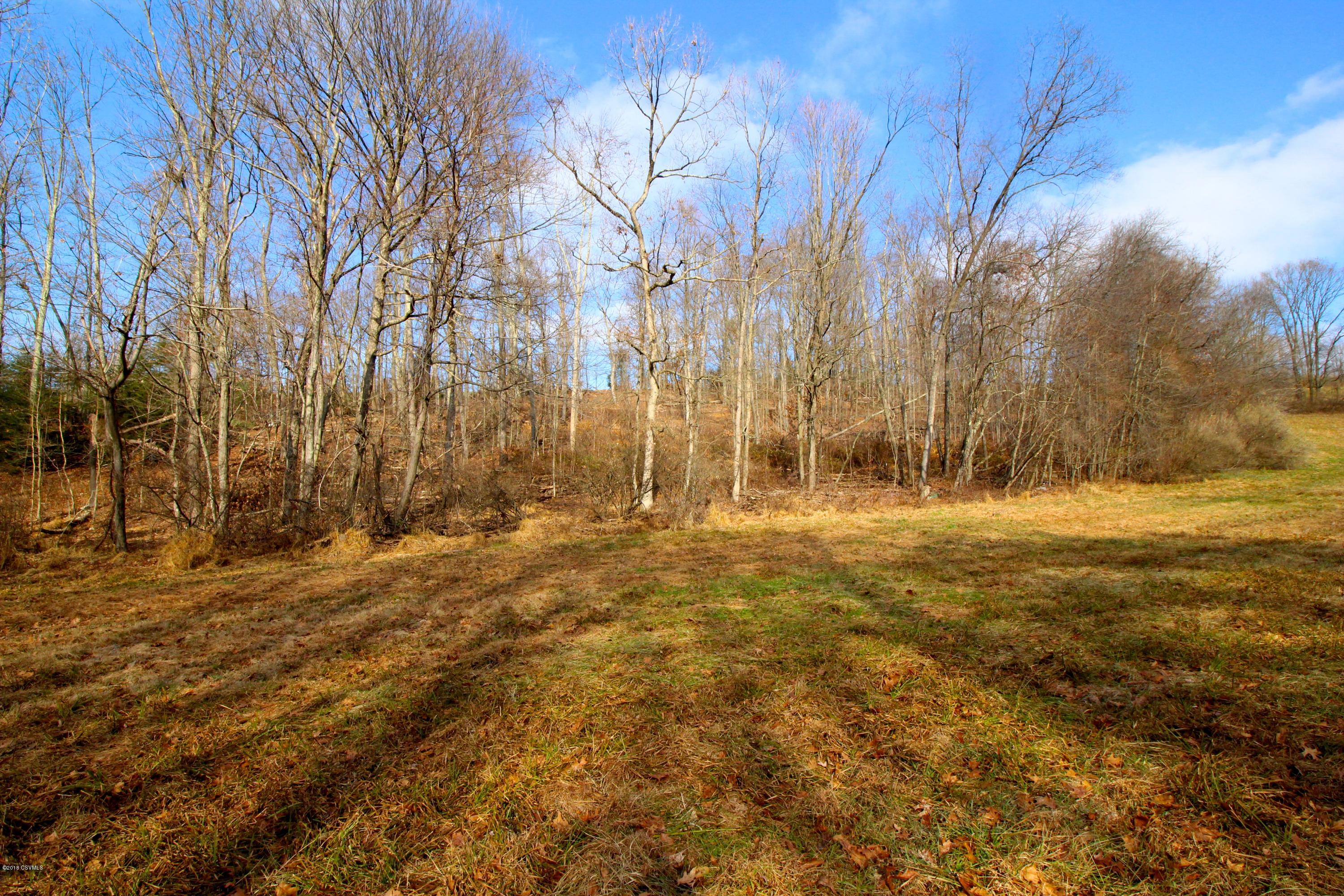 Kindt Road Bloomsburg, PA 17815 - Photo 3 of 10 Gallery Image 3