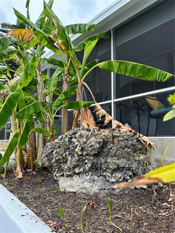 4204 Nettle Road Port Charlotte, FL 33953 - Photo 25 of 33 Banana Trees